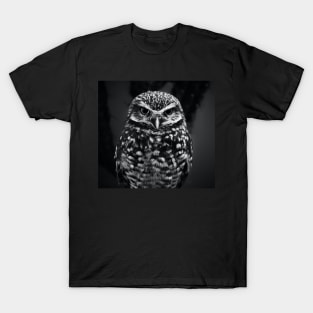 Owl 3D T-Shirt